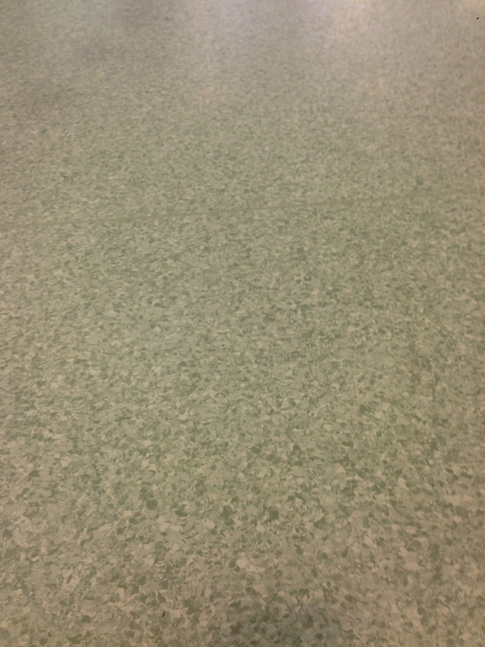 Synthetic floor covering